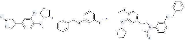 Rolipram can react with Benzyl-(3-iodo-phenyl)-ether to get 1-(3-Benzyloxy-phenyl)-4-(3-cyclopentyloxy-4-methoxy-phenyl)-pyrrolidin-2-one.